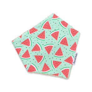Bandana Dribble Bib - Watermelons